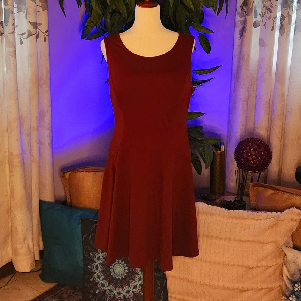 Burgundy Skater Style Dress